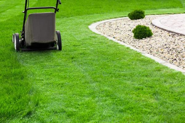 Complete Lawn Care Service for Every Season