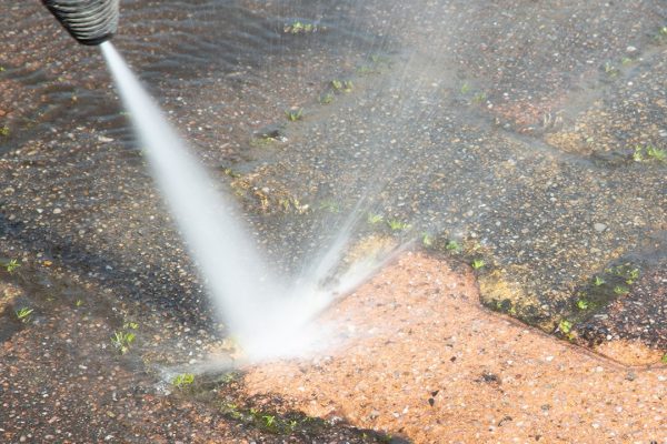 Top Services and Listings on Productzz Directory