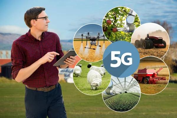 Enhancing Freight Forwarding to Canada with Real-Time Tracking